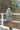 BillyBonesNOV2021Edit-83.jpg