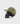 BILLY BONES CLUB HALL PASS CAP - GREEN